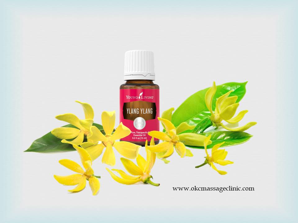 Ylangylang Aromatherapy Reduces Anxiety in Patients Hospitalized for